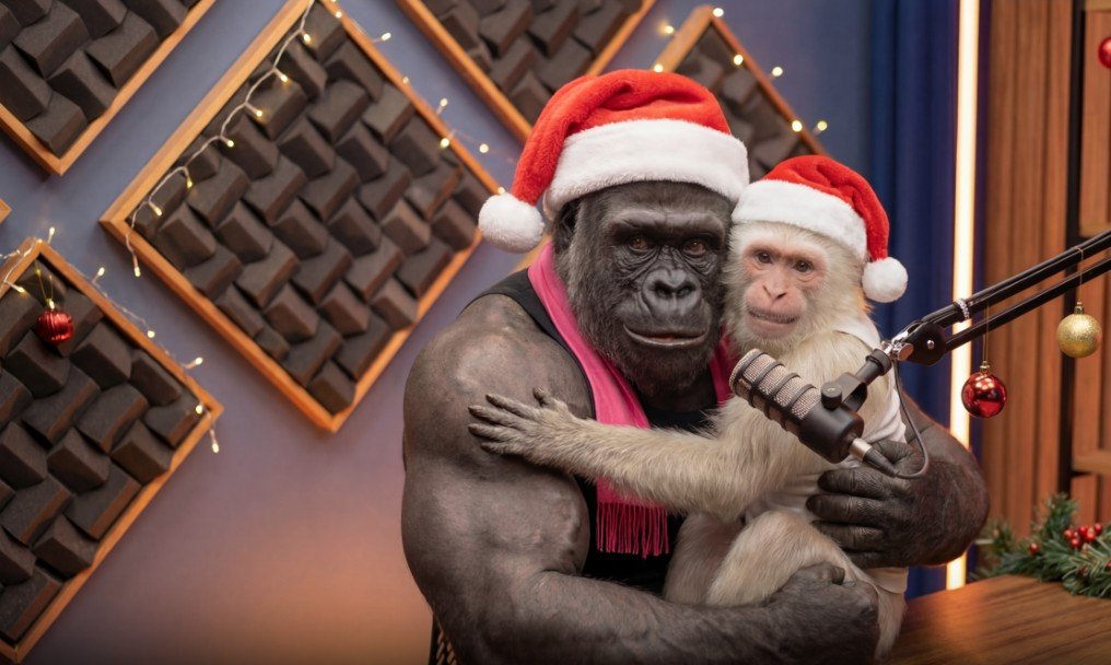 Curso GorilaCast 2026 – Como Ganhar Dinheiro com Vídeos de Inteligência Artificial 1 Curso GorilaCast 2026 – Como Ganhar Dinheiro com Vídeos de Inteligência Artificial VENDER E LUCRAR